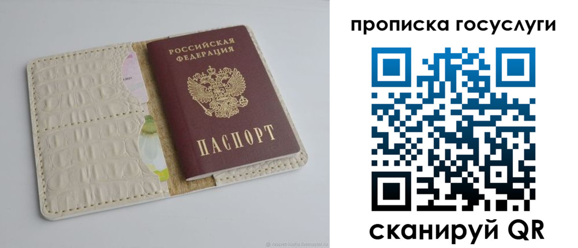 где прописаться в Чистополье